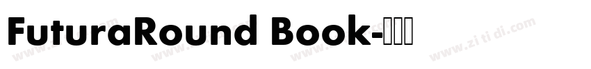 FuturaRound Book字体转换